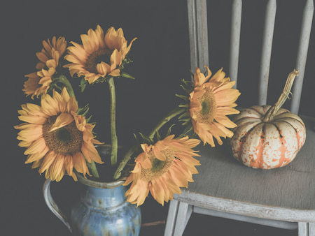 A bleached image of sunflowers next to a white pumpkin