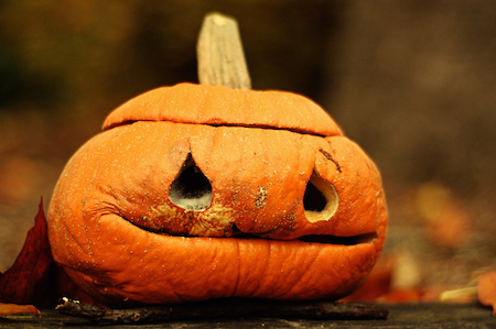 An old Jack O' Lantern begins to rot