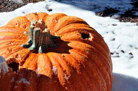 A pumpkin with a broken stem and hole on top sits in the snow